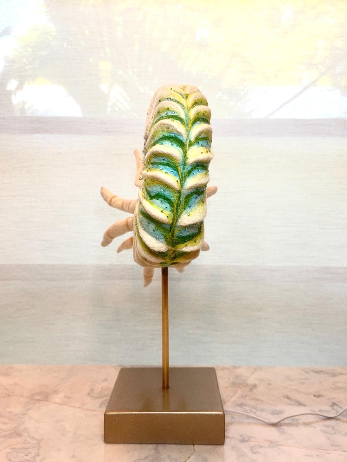 Jewel of the Mythic: Lost Oceans Nautiloid (Illuminated Edition)