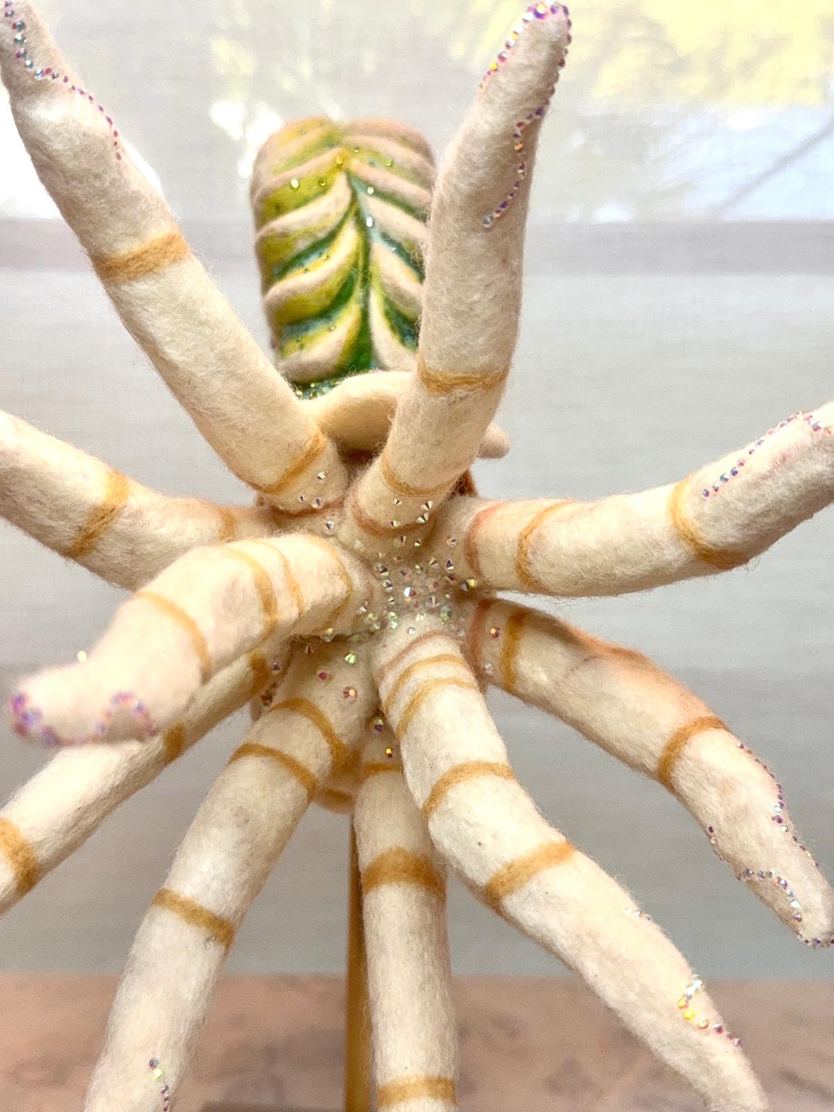 Jewel of the Mythic: Lost Oceans Nautiloid (Illuminated Edition)