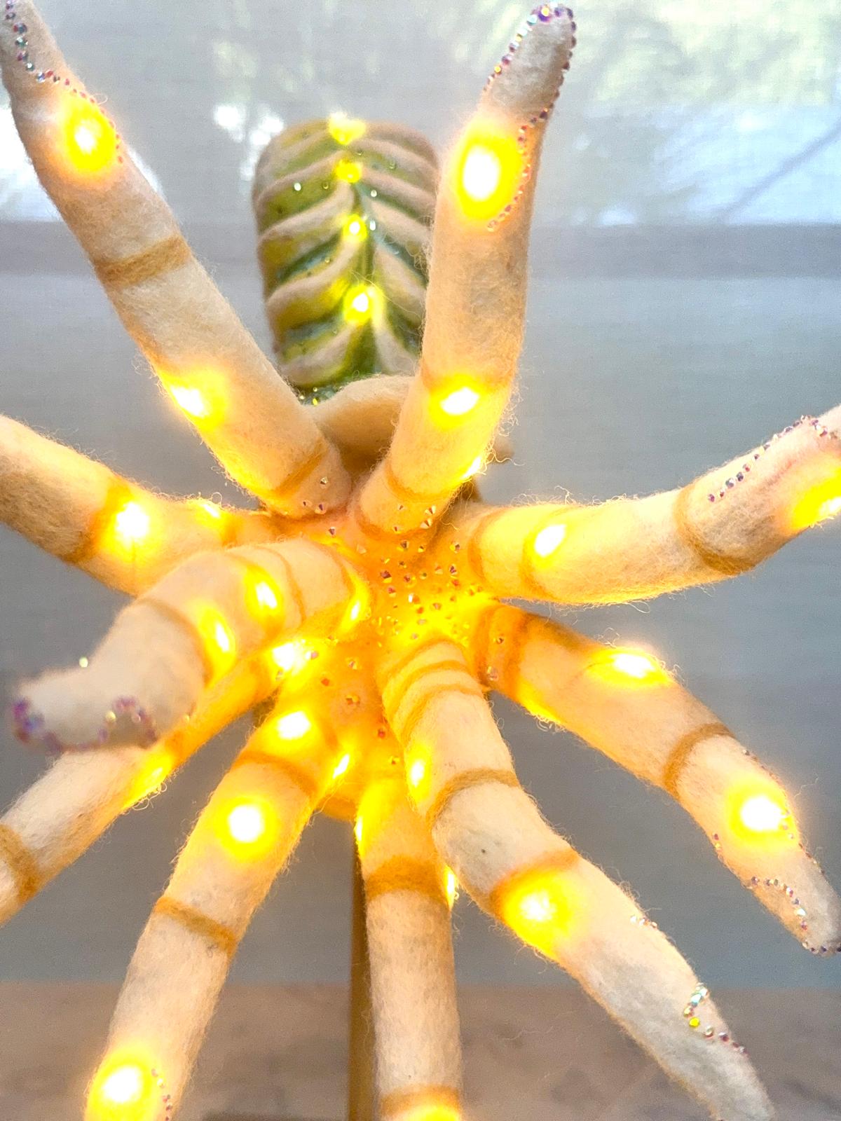 Jewel of the Mythic: Lost Oceans Nautiloid (Illuminated Edition)